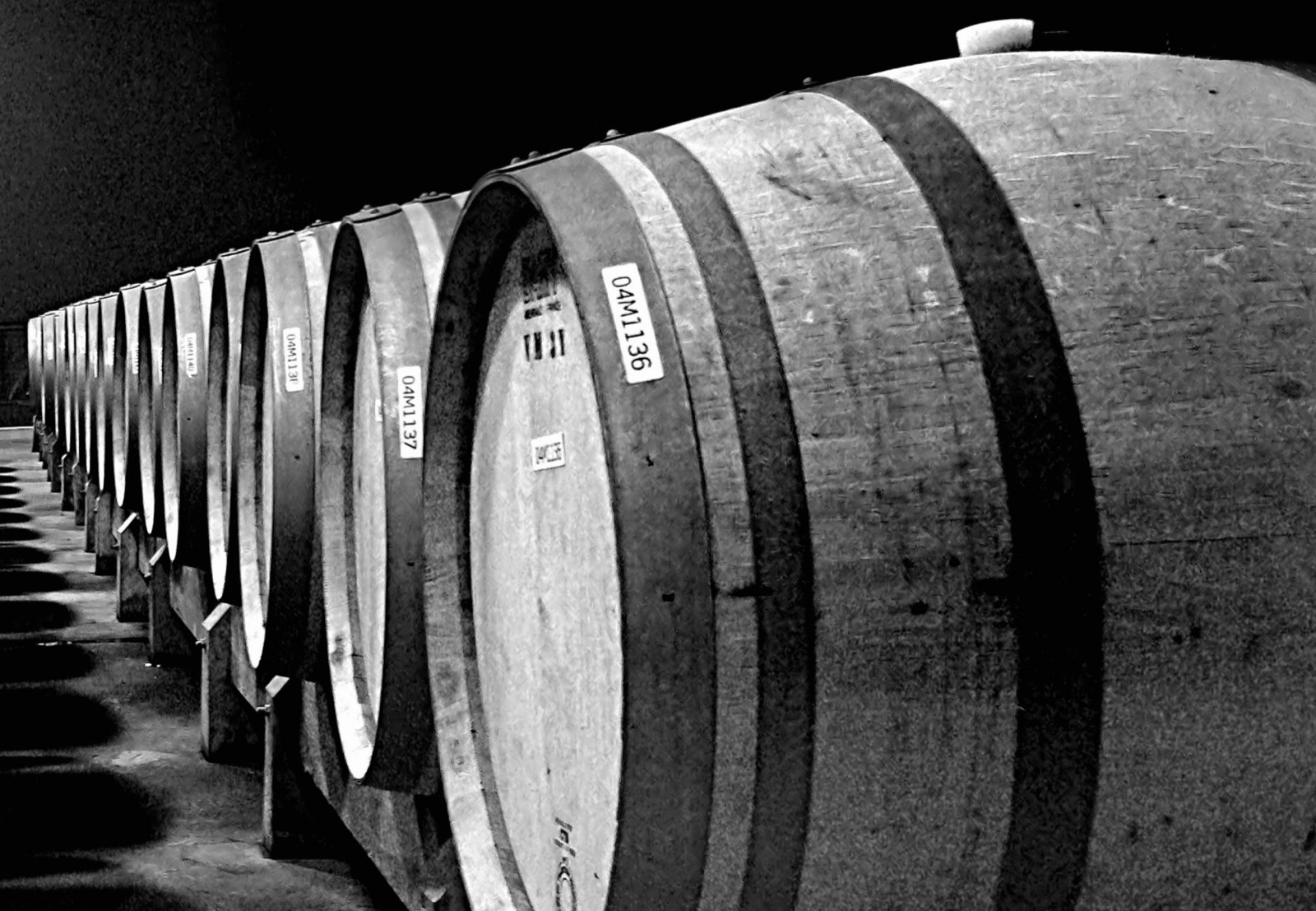 Wooden wine casks stand in a long row in a cellar.