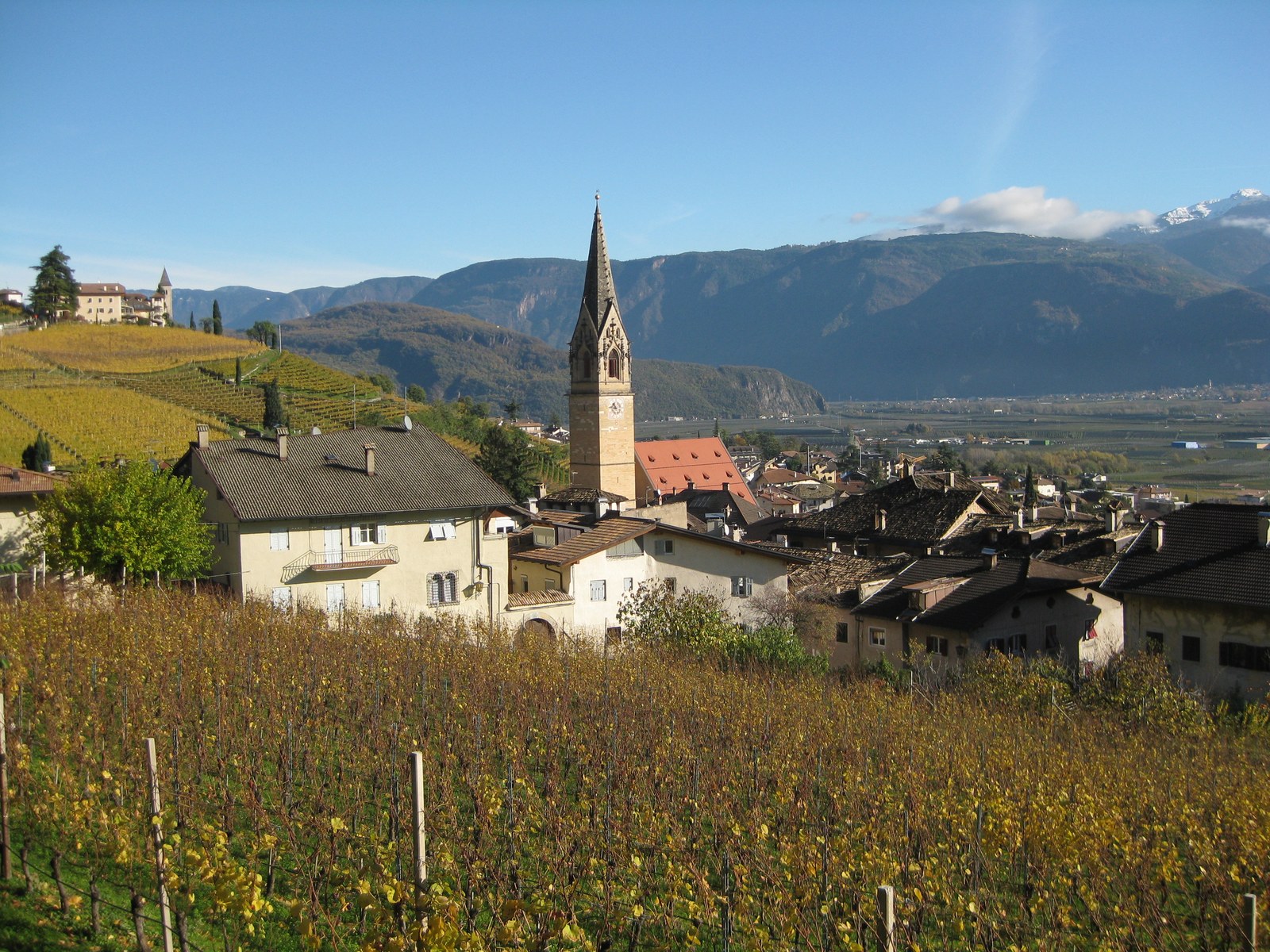 Vineyards surround a village with a tall church tower, with mountains across the valley.