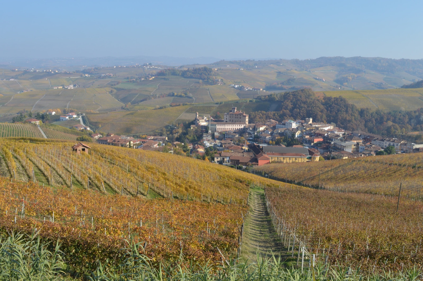 Autumn vineyard rows descend toward a village surrounded by rolling hills.
