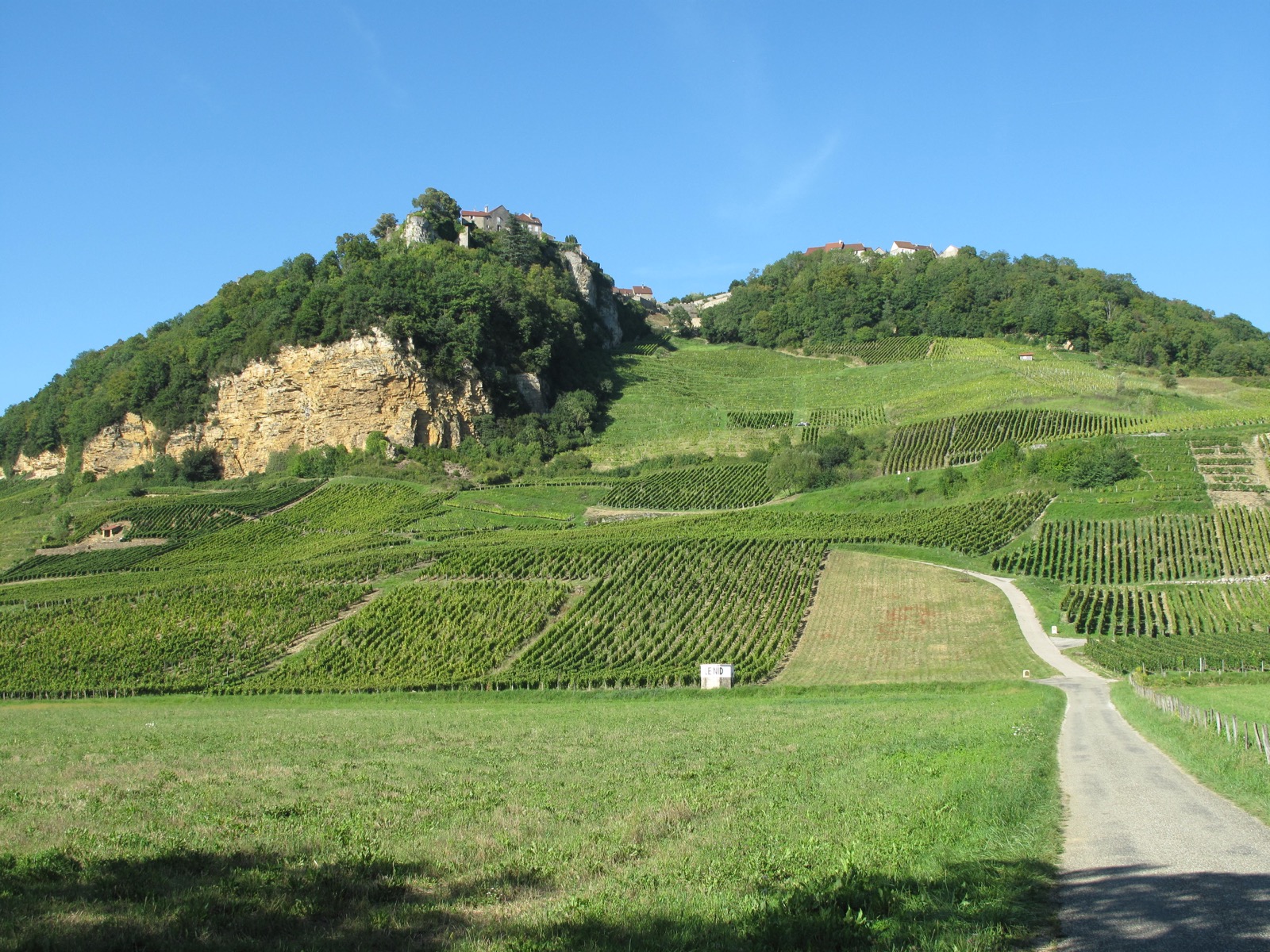 Vineyard rows climb toward wooded cliffs and a hilltop village.