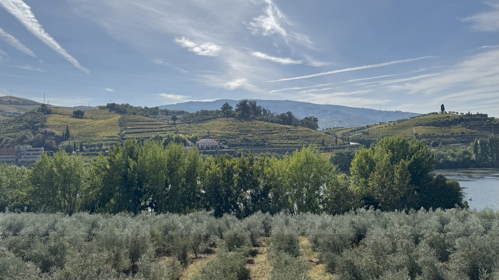 Terraced vineyards rise beyond trees and the Douro River.
