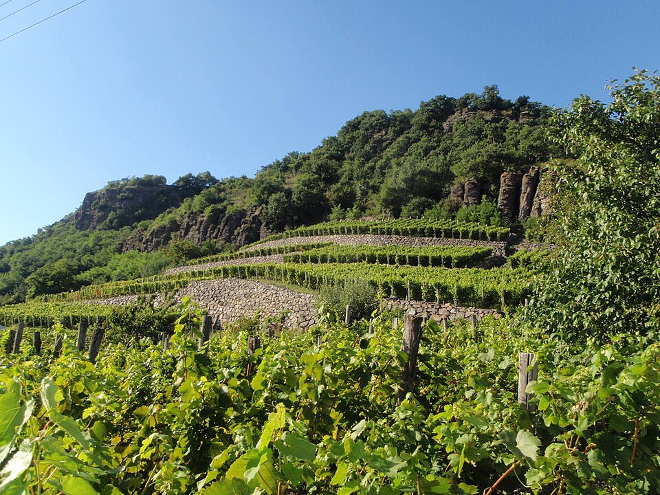 Terraced vines climb beneath wooded slopes and exposed rock.