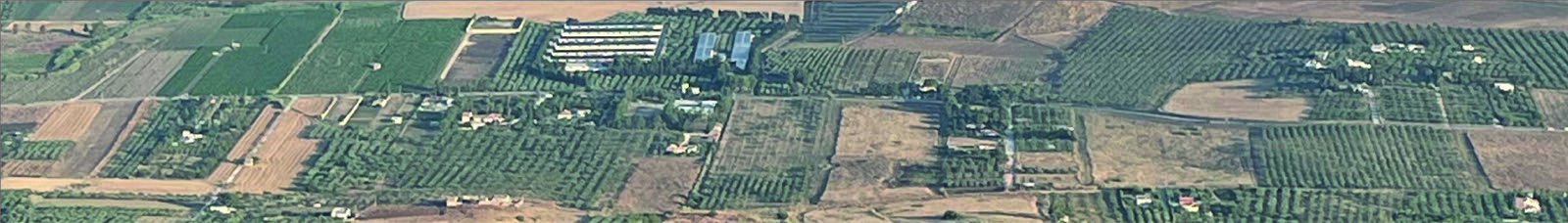 Aerial panorama of vineyard parcels across rolling farmland.
