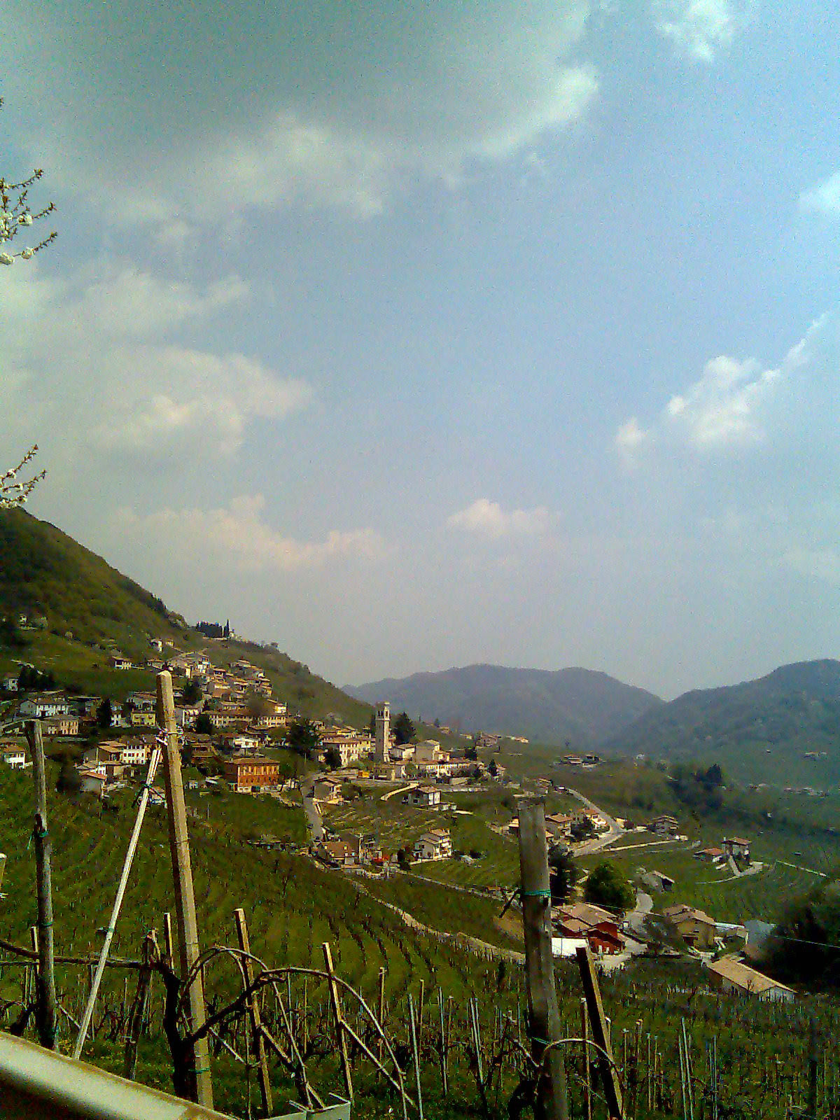 Vine rows on a steep hillside overlooking a village and wooded hills.